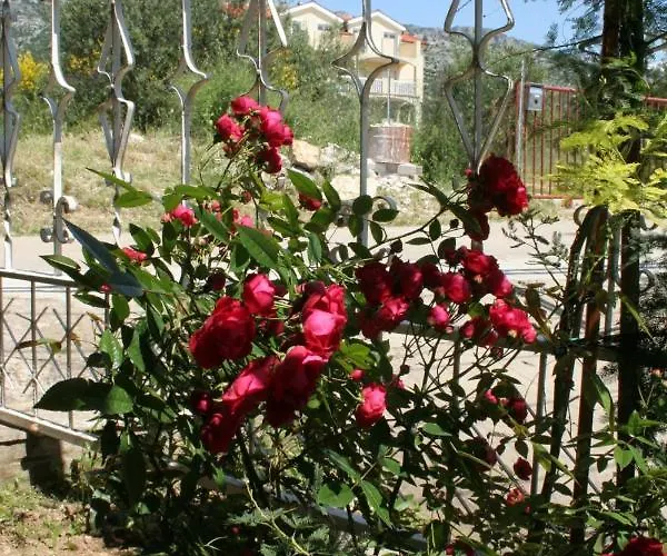 Appartement With Parking Space Orebic, Peljesac - 4504