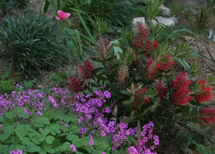 With Parking Space Orebic, Peljesac - 4504 *